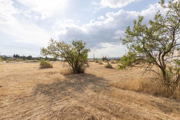 Terreno Urbanizable En venta en Andalucia, Moraleda De Zafayona photo 0