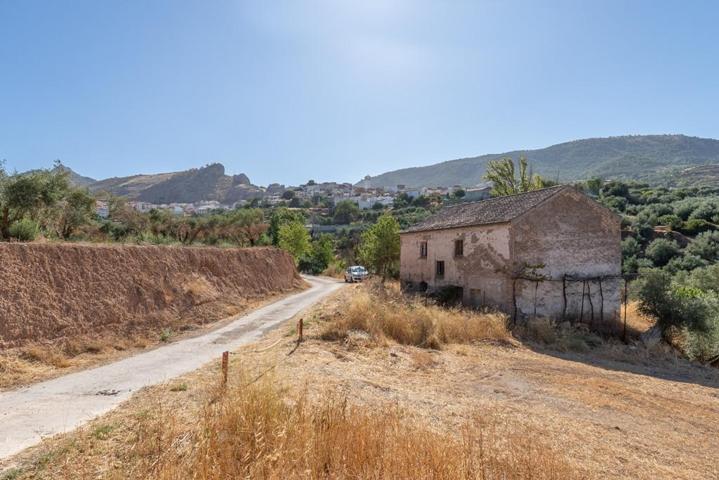 Venta de cortijo en Cogollos Vega photo 0