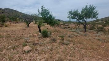 Terreno Urbanizable En venta en El Mingrano, Fuente Alamo De Murcia photo 0