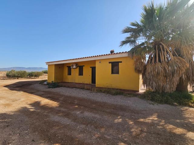 CASA DE CAMPO CON TERRENO EN LO JORGE, FUENTE ÁLAMO photo 0