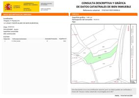 TERRENO DE SECANO A LA VENTA EN FUENTE ÁLAMO photo 0