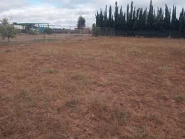 Terreno en venta en Don Rodrigo photo 0