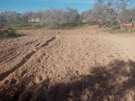 Terreno en venta en Montequinto-El Colmenar(41704) photo 0