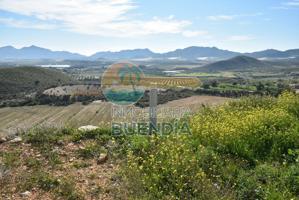 TERRENO RÚSTICO EN LA MAJADA, CON MAGNÍFICAS VISTAS AL VALLE DE MAZARRÓN EN VENTA photo 0