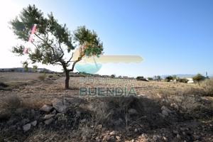 TERRENO en venta photo 0