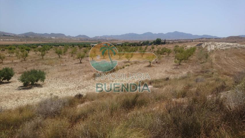 TERRENO RUSTICO A POCA DISTANCIA DE MAZARRÓN. photo 0