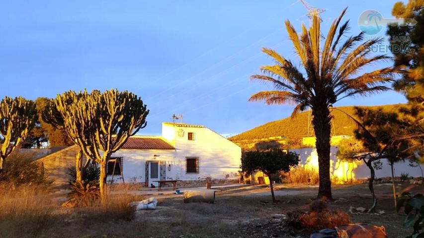 FANTASTICA FINCA CON CASA DE CAMPO EN FUENTE ALAMO Y GRAN TERRENO CULTIVABLE photo 0