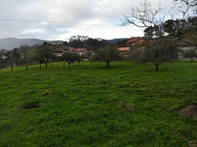 Finca Urbanizable en Venta photo 0