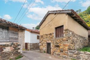 ¡Cuadra y terreno rústico en venta en Páramo, Teverga! photo 0
