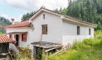 Casa En venta en Cangas De Narcea, Cangas Del Narcea photo 0