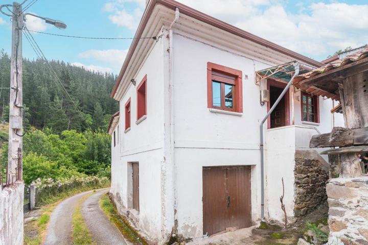 Casa En venta en Cangas De Narcea, Cangas Del Narcea photo 0