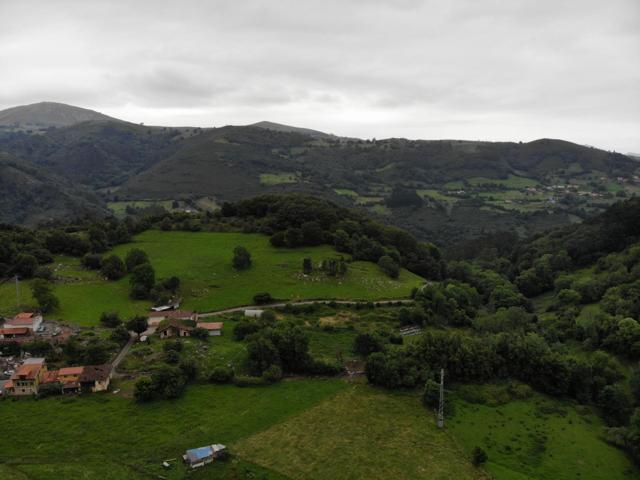 FINCA AGRARIA CERRA EN VILLAGARCIA GRADO photo 0