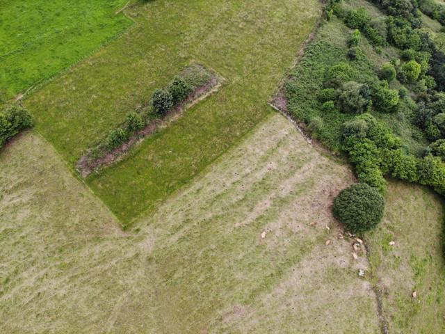 FINCAS VILLAGARCIA EN GRADO photo 0