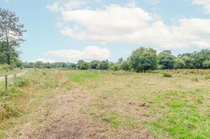Terreno en venta en Llanera S-N photo 0
