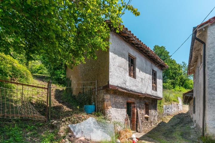 Casa con Gran Jardín para Reforma en el Corazón de Asturias: Conexión Perfecta entre Naturaleza y Se photo 0