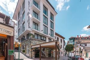 HOTEL APARTAMENTOS EL BEYU CANGAS DE ONIS photo 0