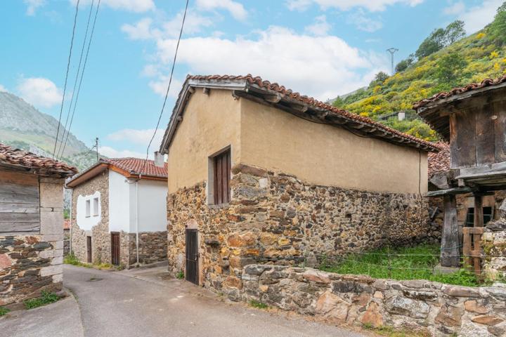 ¡Cuadra y terreno rústico en venta en Páramo, Teverga! photo 0