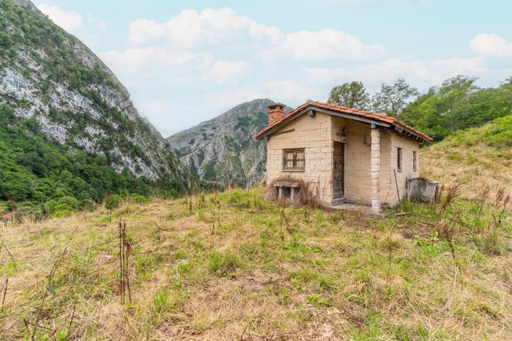 Cabaña con terreno en Amieva photo 0