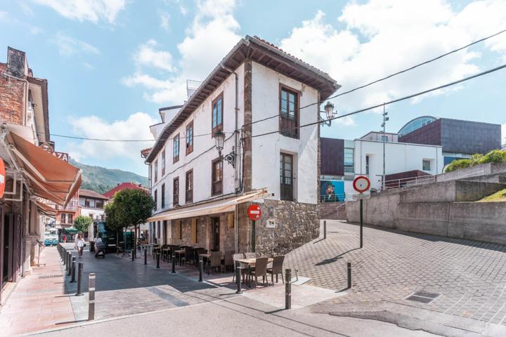Dos casas en Cangas de Onís photo 0