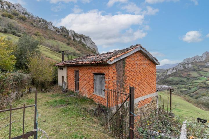 TERRENO Y CABAÑA EN VENTA EN PELUGANO ( PEÑAMEA LAVIANA) photo 0