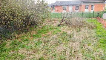 Parcela edificable en Argüelles (Siero) – 1.250 m2 llanos, soleados y con excelente ubicación photo 0