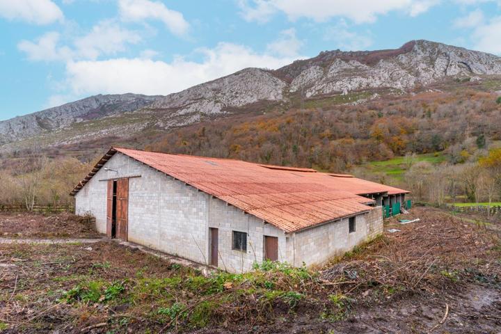 NAVE Y FINCA EN VENTA PARQUE NATURAL REDES photo 0