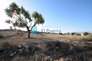 TERRENO en venta photo 0