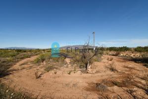 CASA PARA REFORMAR CON GRAN TERRENO EN CUEVAS DE REYLLO – FUENTE ÁLAMO - REF 557 photo 0