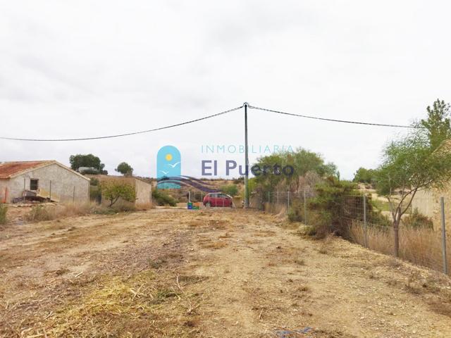 TERRENO RURAL VALLADO EN ALHAMA DE MURCIA - REF 539 photo 0