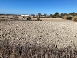 SE VENDE PARCELA SEGREGADA EN EL FONTANAR photo 0