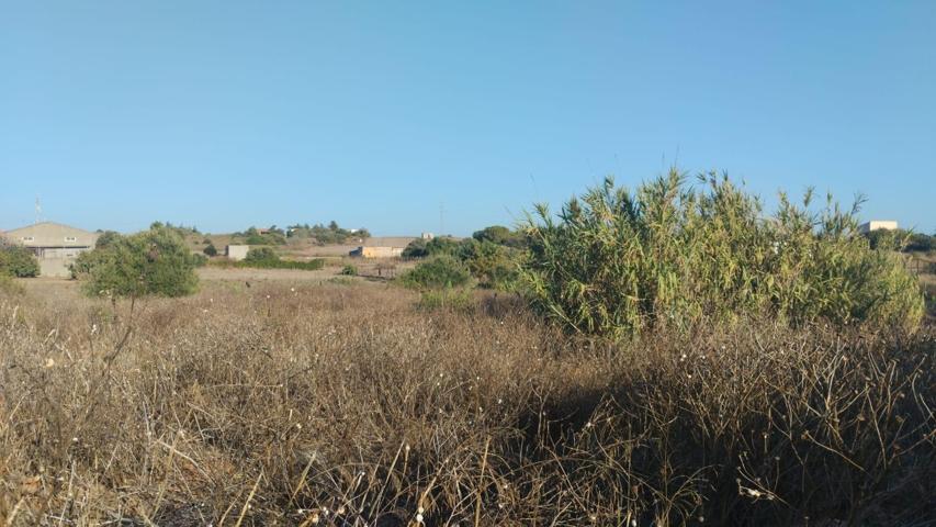 SE VENDE PARCELA SEGREGADA EN CALLEJON BORREGUITOS photo 0