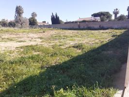 PARCELA EN PINAR DE LOS FRANCESES photo 0