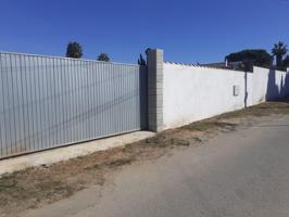 PARCELA EN PINAR DE LOS FRANCESES photo 0