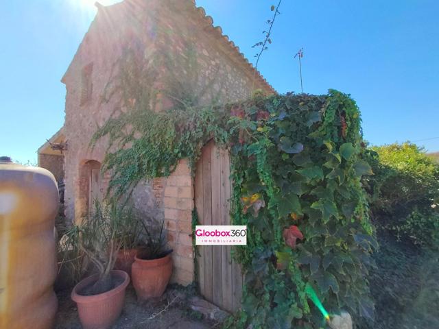 Se Vende Finca en término de Riudoms ( Baix Camp ) a ocho minutos de Reus y Cambrils photo 0