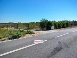 Se Vende Finca en término de Riudoms ( Baix Camp ) a ocho minutos de Reus y Cambrils photo 0