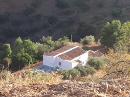 FINCA RUSTICA EN LOS MONTES DE MALAGA CON CASA PROPIA LEGALIZADA photo 0