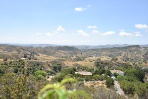 PARCELA DE TERRENO DE OLIVAR EN VALTOCADO EN MIJAS CON VISTAS INMEJORABLES photo 0