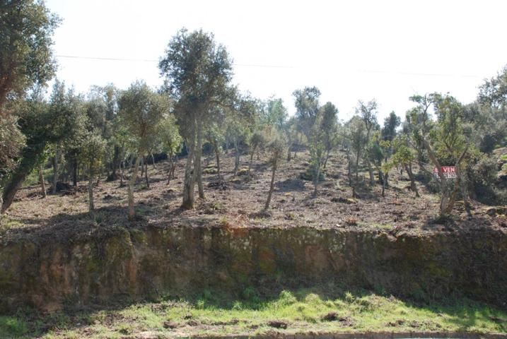 Parcela situada en Vall Repòs Santa Cristina d'Aro photo 0