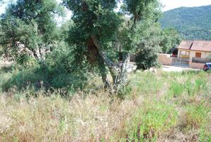 Terrenos Edificables En venta en Calonge - Mas Pere, Calonge photo 0