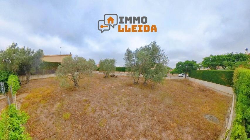 Suelo urbano - Cervera photo 0