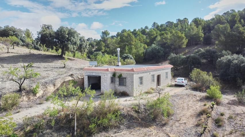 Casa de Campo inmerso en la Naturaleza photo 0