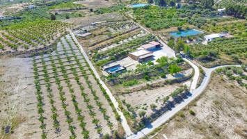 Cortijo con piscina y tierra cultivada photo 0