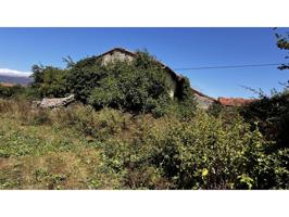 CASA CON FINCA DE 1300M2 URBANOS PARA REFORMAR EN LOMA DE MONTIJA photo 0