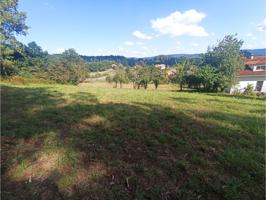 FINCA SOLEADA Y A BUEN PRECIO photo 0