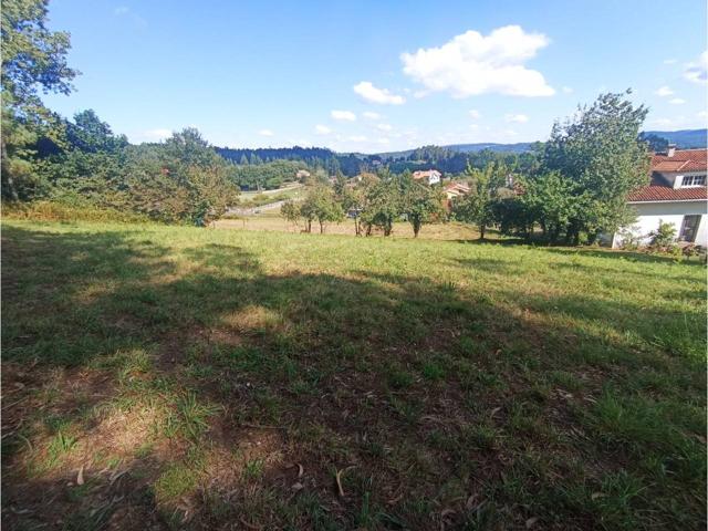FINCA SOLEADA Y A BUEN PRECIO photo 0