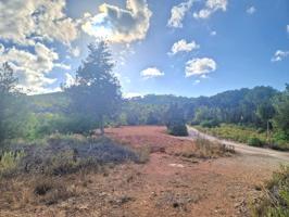 Autenticidad y privacidad en finca de 25.000 m² rodeada de naturaleza photo 0