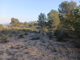 Finca rustica en Monovar photo 0