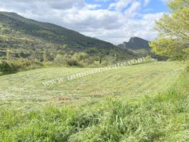 Parcela rustica en Estella photo 0
