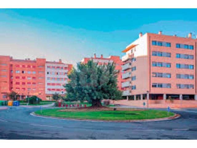 ESTRENA EN EL ARCO EN LA MEJOR RELACIÓN CALIDAD-PRECIO DEL MERCADO photo 0