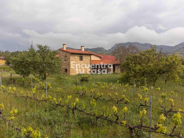 Casa de campo en venta en Briñas photo 0